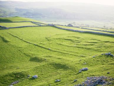 Remnants of Celtic Settlement on Limestone Bench, Hill Castles, Wharfedale, Yorkshire